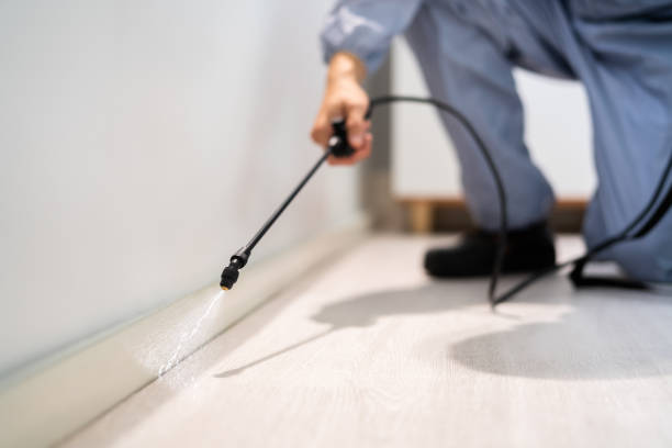 Licensed Rodent Control service in Leo-Cedarville, IN - Nex Pest Control