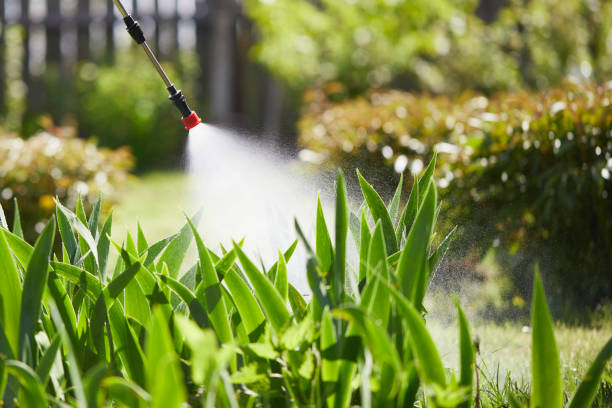 24/7 Emergency Rodent Control experts in Leo-Cedarville, IN