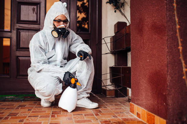 Reliable Rodent Control contractor in Leo-Cedarville, IN by Nex Pest Control