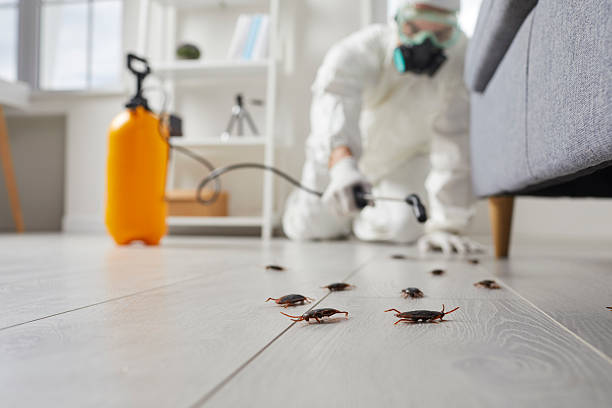 Trusted Cockroach Control service in Leo-Cedarville, IN - Nex Pest Control