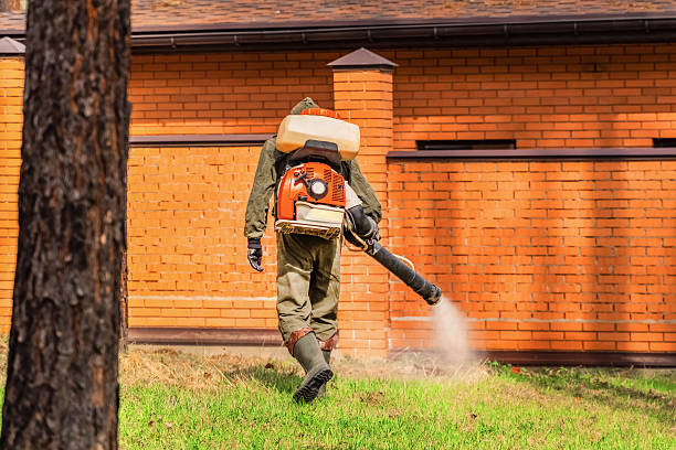 Trusted Ant Control service in Leo-Cedarville, IN - Nex Pest Control